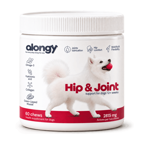 Hip & Joint – suplement na biodra i stawy dla psów