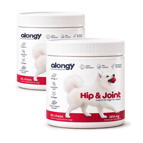 Hip & Joint – suplement na biodra i stawy dla psów