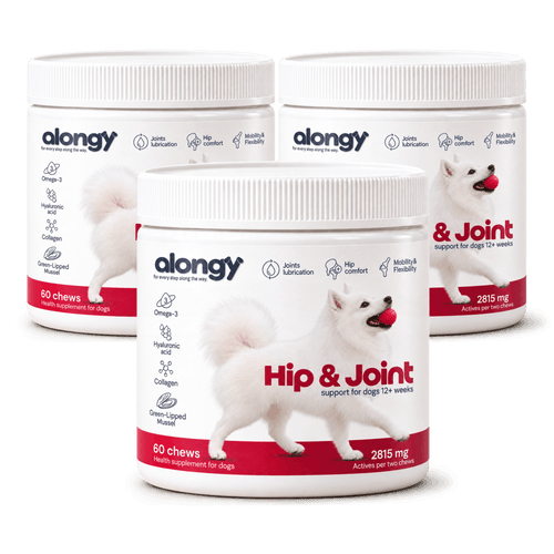 Hip & Joint – suplement na biodra i stawy dla psów