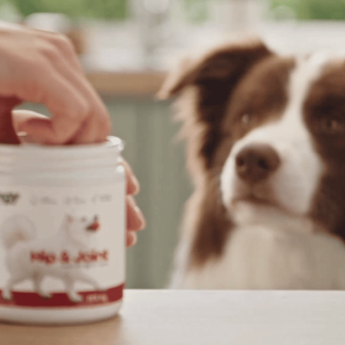 Hip & Joint – suplement na biodra i stawy dla psów